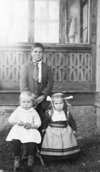 1919 Hallins barn