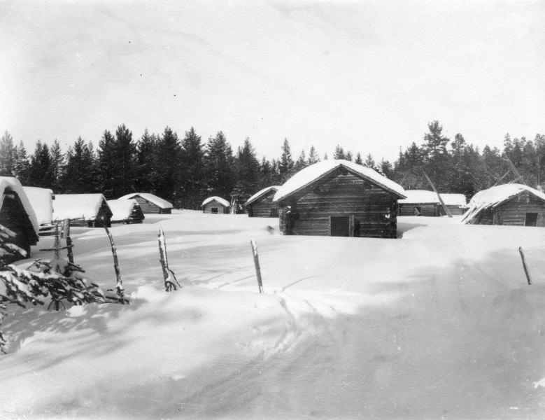1919 Vinterbild