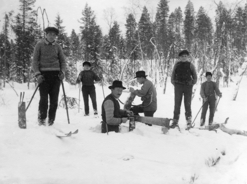1919 Timmerskogen i Lindan