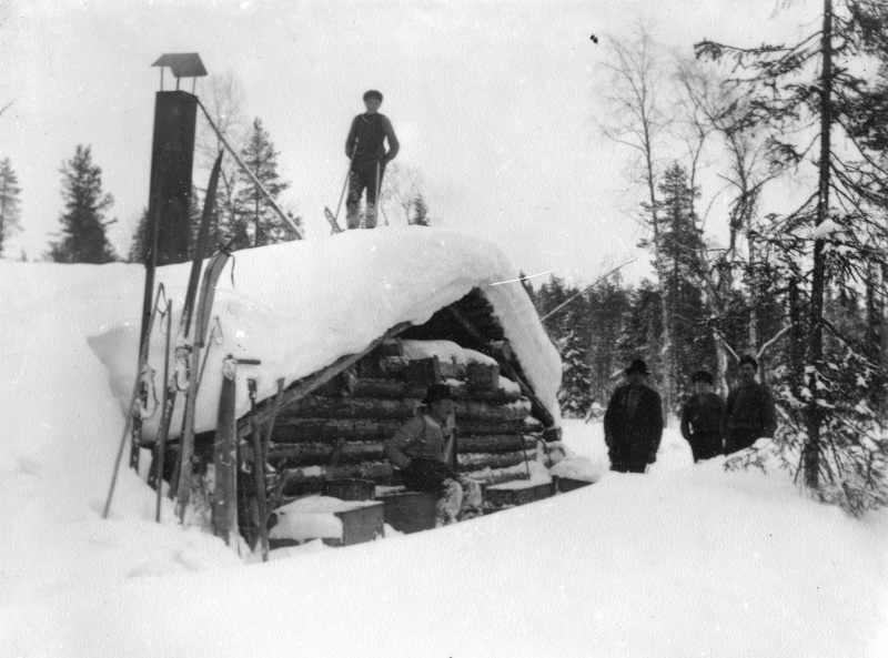 1919 Timmerskogen i Lindan
