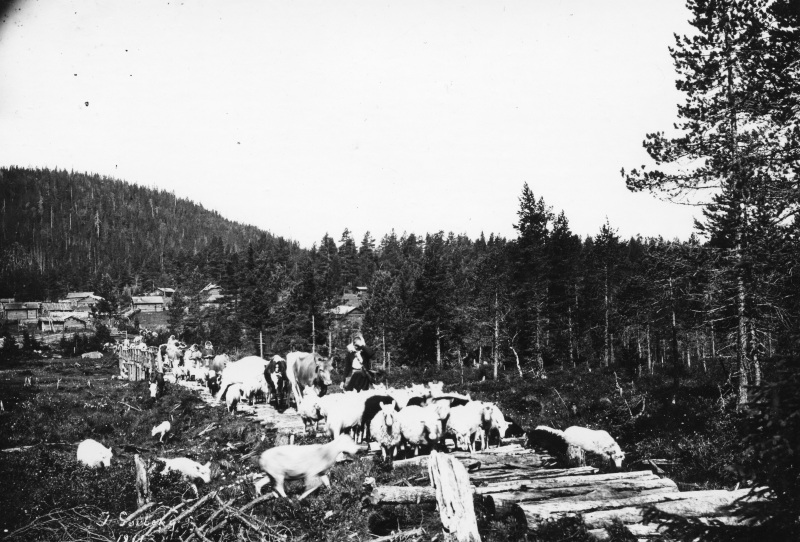 Nedre Garberg 1911