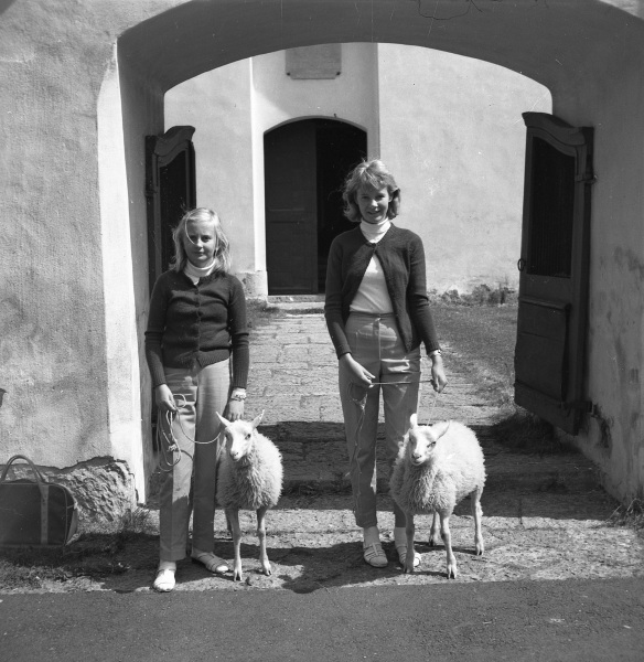 Yvonne och Ingmarie på promenad med lammen
