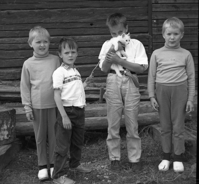 Fyra barn med en katt