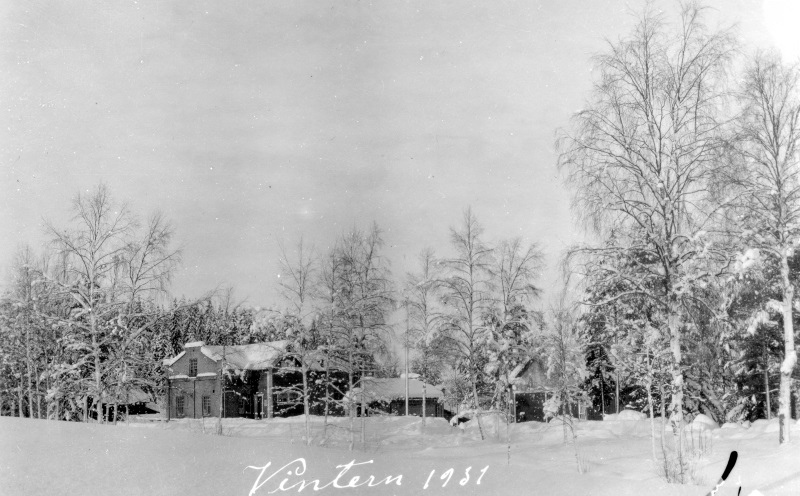 Vintern 1931