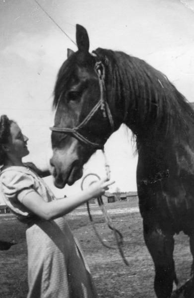 Anna och hästen