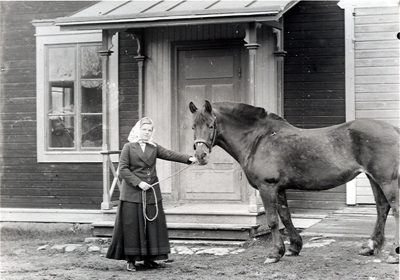 Linnea med hästen i Budsel