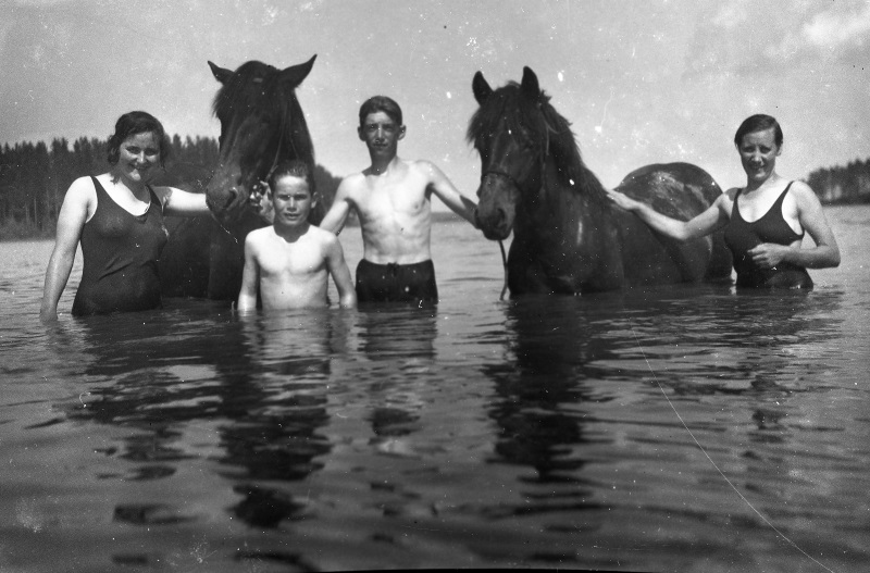 Bada med hästar