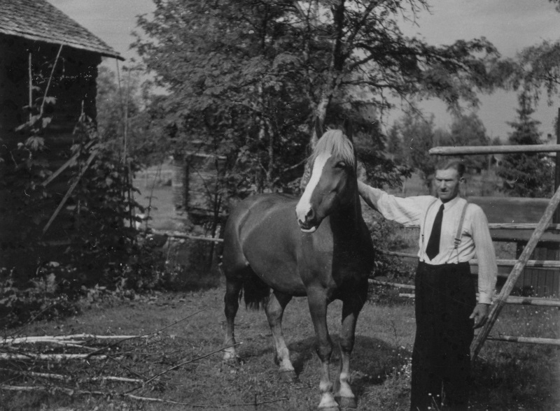 Karl Brottare med hästen