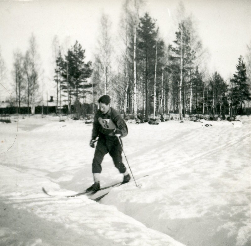 Åka skidor