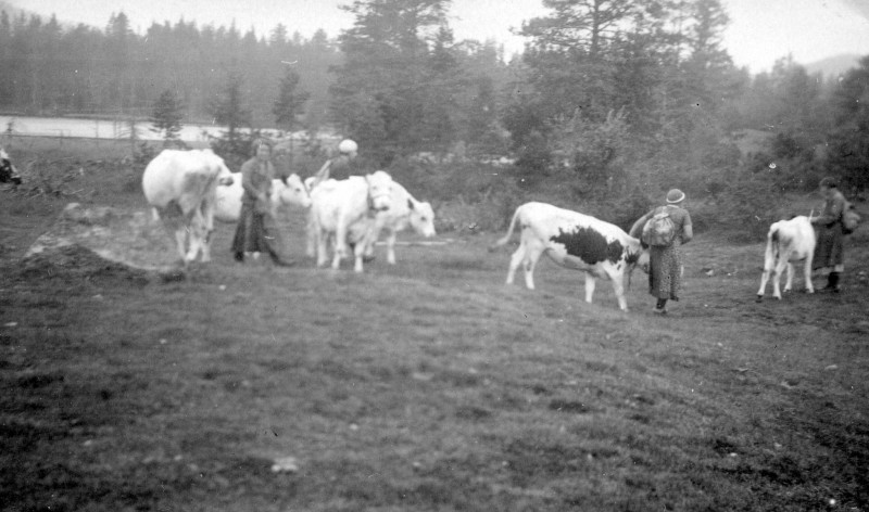 Hemfärd från Sälen 1935