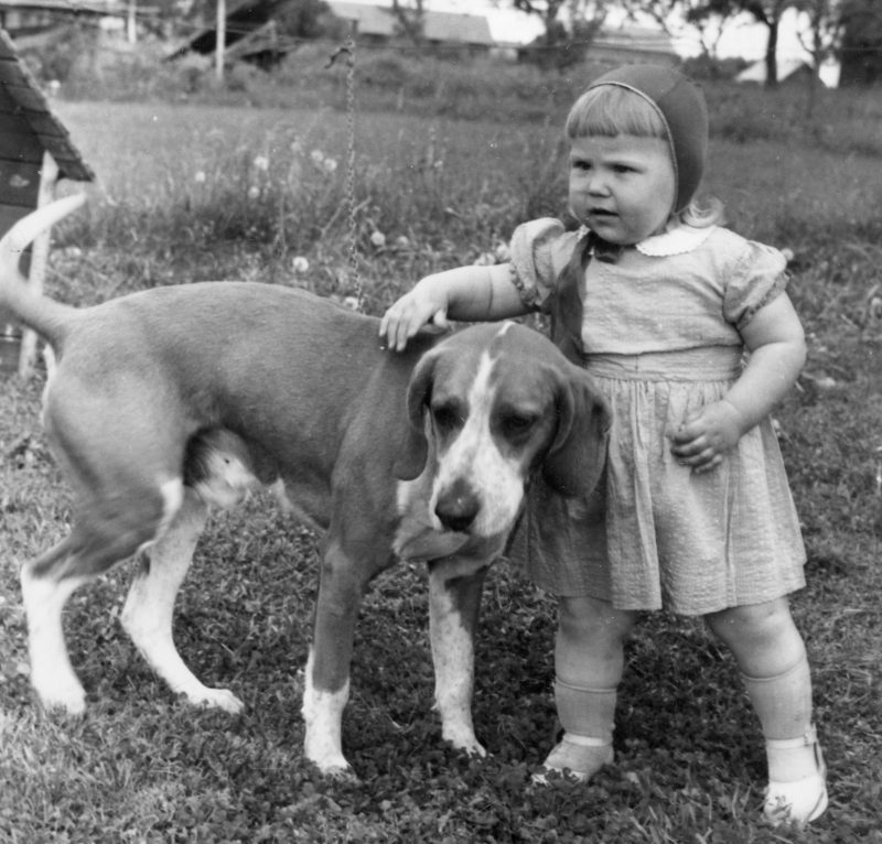 Hund och barn