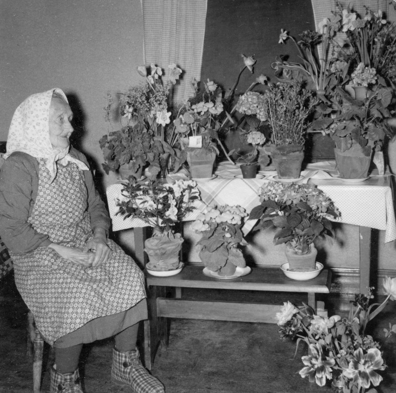 Kerstin 90 år 1956